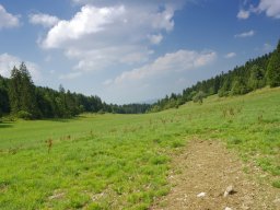 _dam6230_dxo_s