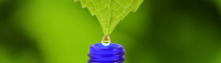 Atelier aromathérapie